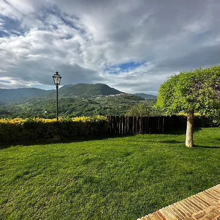 Il Degli Ulivi *