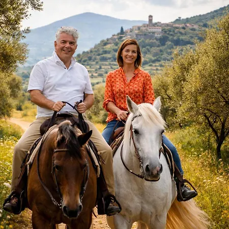 Il Degli Ulivi Villa *